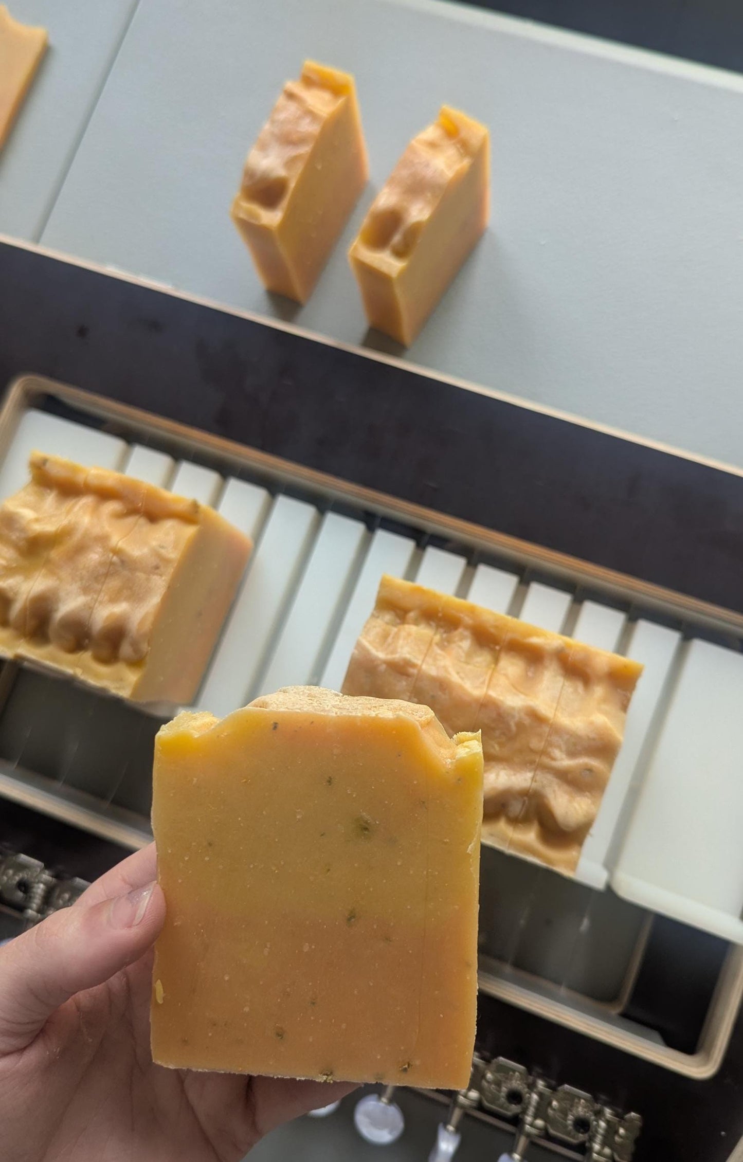 Mango Dreams Soap
